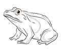 Frog. Black and white image. Coloring book for kids. Isolated, background.